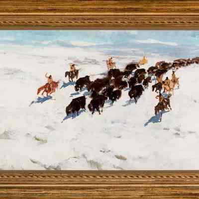 Buffalo Herd in Snow