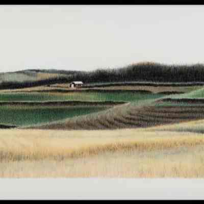 Lines and Wheat