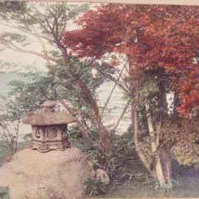 Shrine and Maple Trees Japan