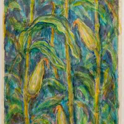 Corn Panels