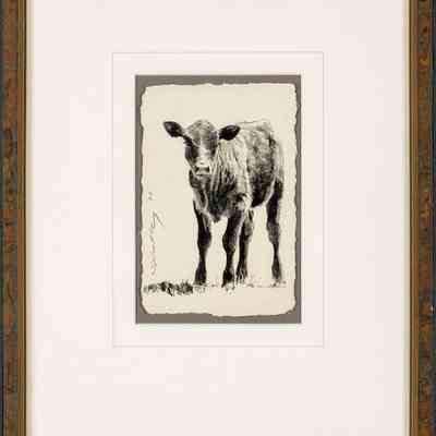 Calf Standing