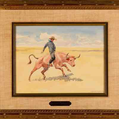 Riding a Steer