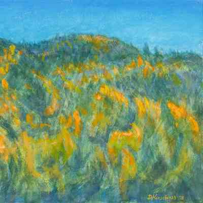 Aspens on the Hills - San Isabel National Forest
