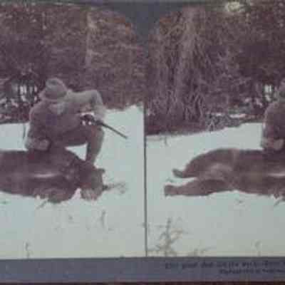 One Good Shot Did the Work-Bear Hunting in Wyoming, U.S.A.