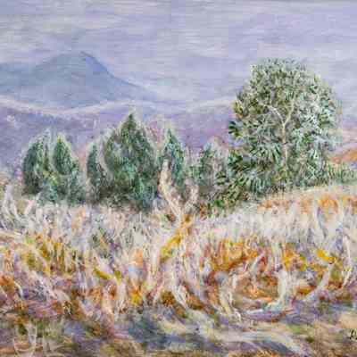 Frost on Grass, Trees, with Mountains