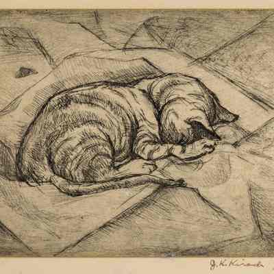 untitled (Sleeping Cat)