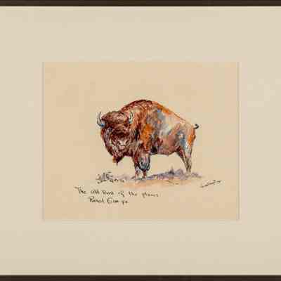 The Old Bull of the Plains Raised Gran-pa