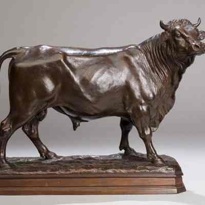 Bull