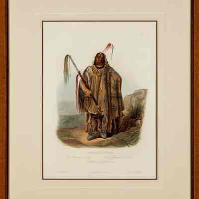 Pehriska-Ruhpa, a Minataree or big-bellied Indian