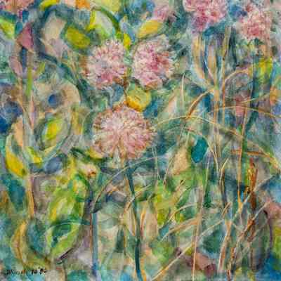 Milkweed in Bloom & Grasses