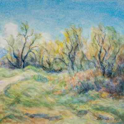 Springtime-Arkansas Valley
