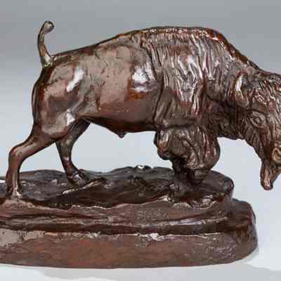 Buffalo