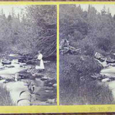 The Trout Brook