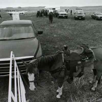 Horse and Horsepower