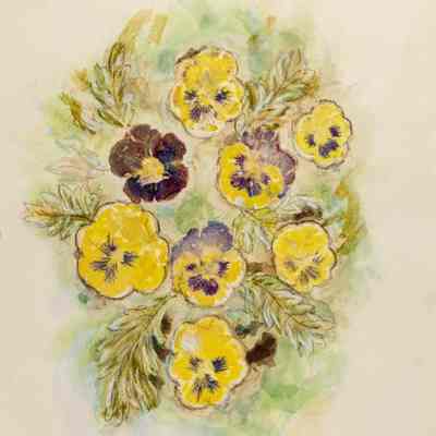 Eight Pansies