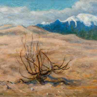 Mountains and Sand Dunes