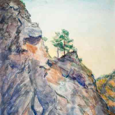 Rocks and Trees