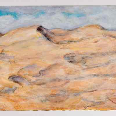 Great Sand Dunes #3