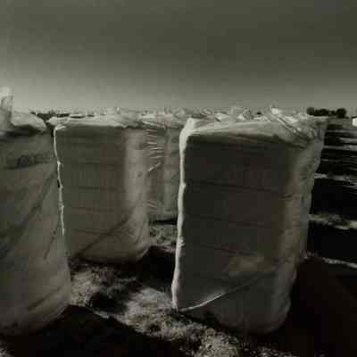 Cotton Bales