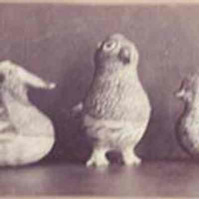 Untitled (Pueblo Artifacts)