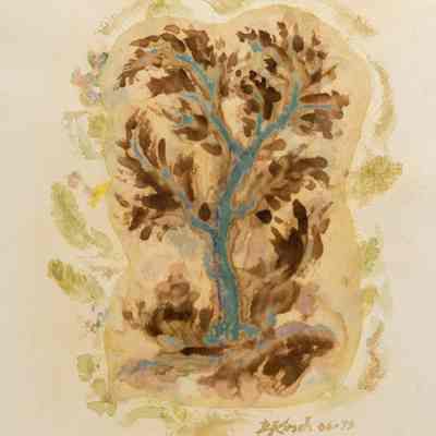 Branch and Leaf Patterns