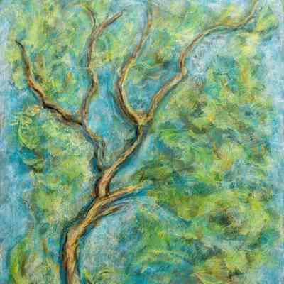 Tree in Spring