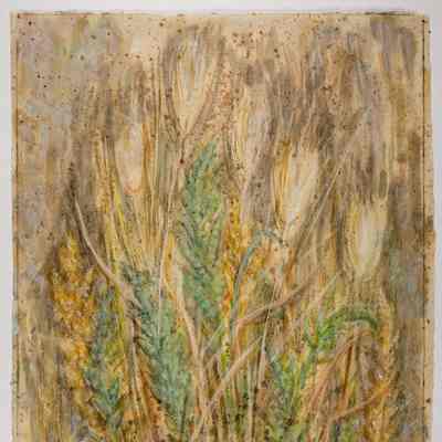 Dried Grasses #2