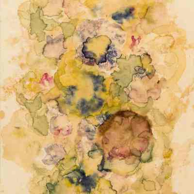 Chagallesque - Misc.. Flowers & Stains