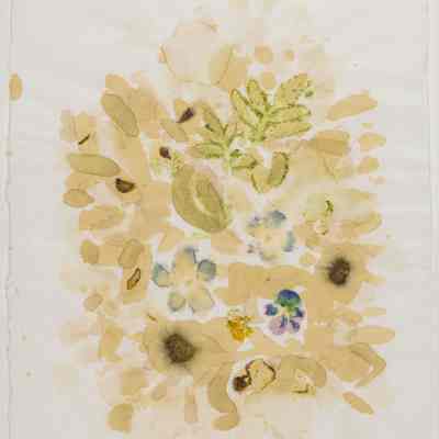 untitled-floral print