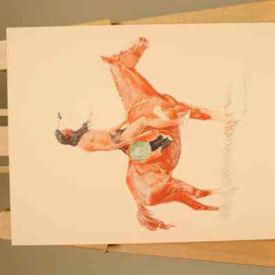 A Cheyenne Buck