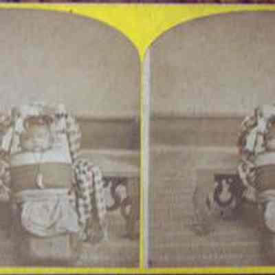 Stereoview