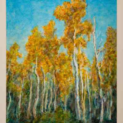 Aspens near Beulah