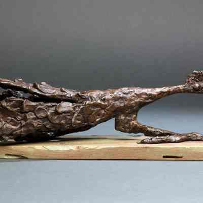 Roadrunner