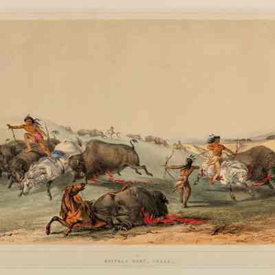 Buffalo Hunt, Chase