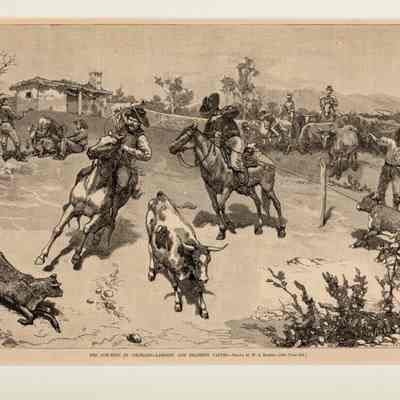 The Cowboys of Colorado - Lassoing & Branding Calves