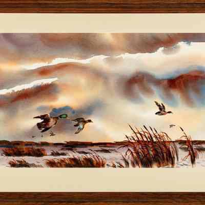 Wind Coming
