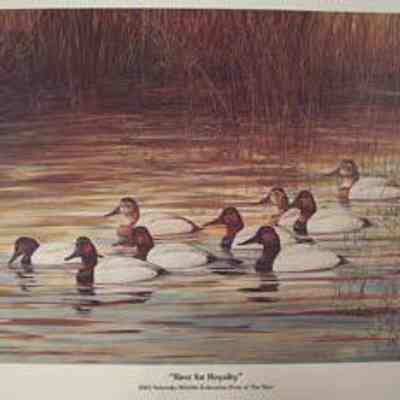 Rest for Royalty, 1982