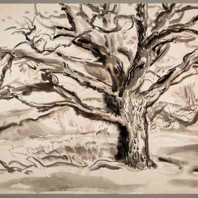 Big Tree