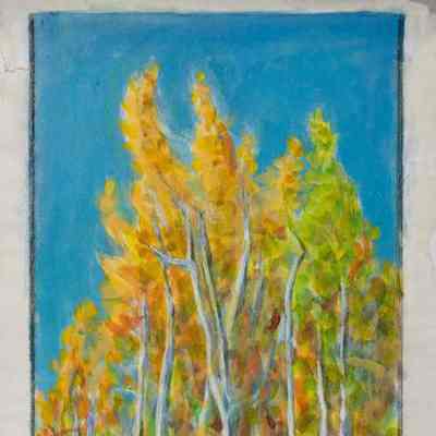 Aspen - Fall