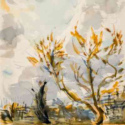 Branches and Sky