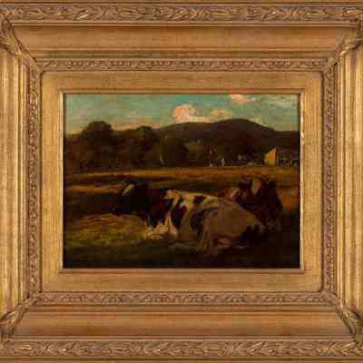 Holstein Cows
