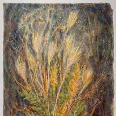 Dried Grasses #1