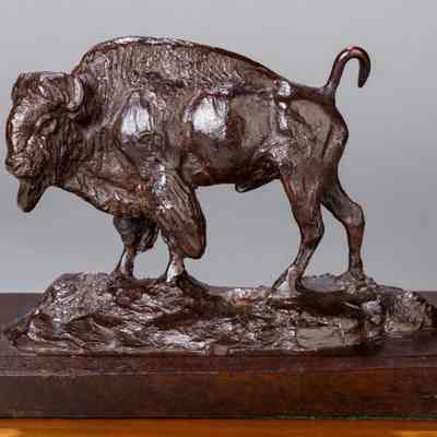 Buffalo Bull