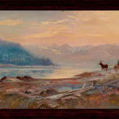 Elk At Lake's Edge