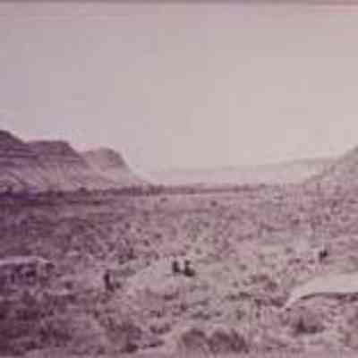 Mancos Canyon