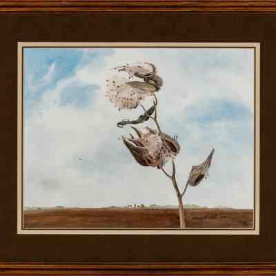 Autumn Milkweed