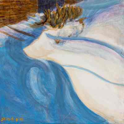 Snow Drifts at C.S.V.H.