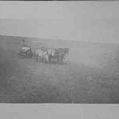 Untitled (Combine)