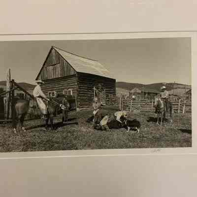 Stucky Ranch Branding '01
