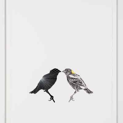 I'll see you when I get there (Bobolink)